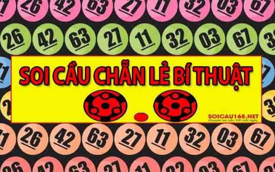 Dàn 3 càng – càng miền Bắc hôm nay